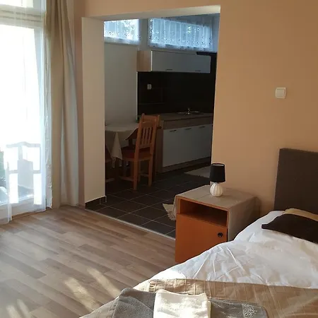 Bereny Panzio 住宿加早餐酒店 2*
